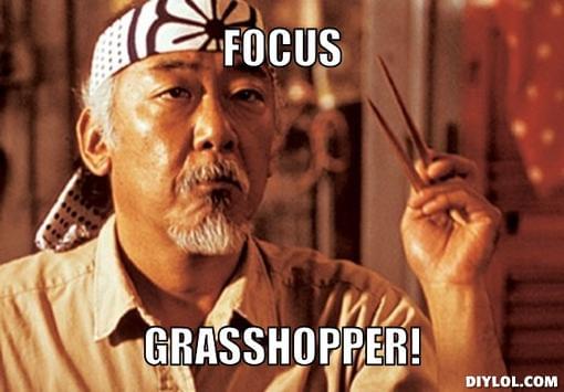 mr-miyagi-focus-meme-generator-focus-grasshopper-5e64b5